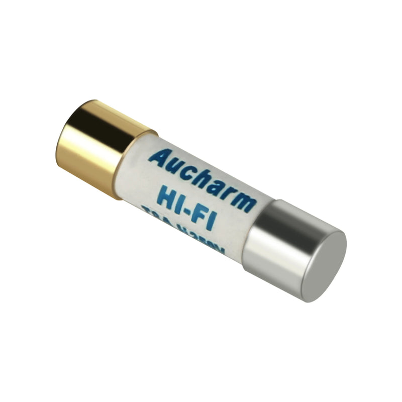 HIFI DAC Fuse Tube HiF Fever Grade Silver Fuse Silver Alloy CD Turntable Amplifier Preamp Post-amp Gold-plated(1PCS)