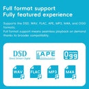 FIIO SNOWSKY Echo Mini MP3 HIFI Sound Quality Portable Bluetooth MP3 Long Battery Life High Sound Quality Pure Music Player