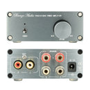 NEW Breeze Audio HiFi Class 2.0 Audio Stereo Digital Power Amplifier TPA3116 Advanced 2*50W Mini Home Aluminum Enclosure amp