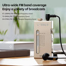 FiiO RR11 Portable HiFi FM Stereo Radio Receiver with analog PVR tuning, BASS+3D sound effects, 64MHz-108MHz