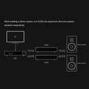 TOPPING B100 Mono Pure Power Amplifier（USED-LIKE NEW）