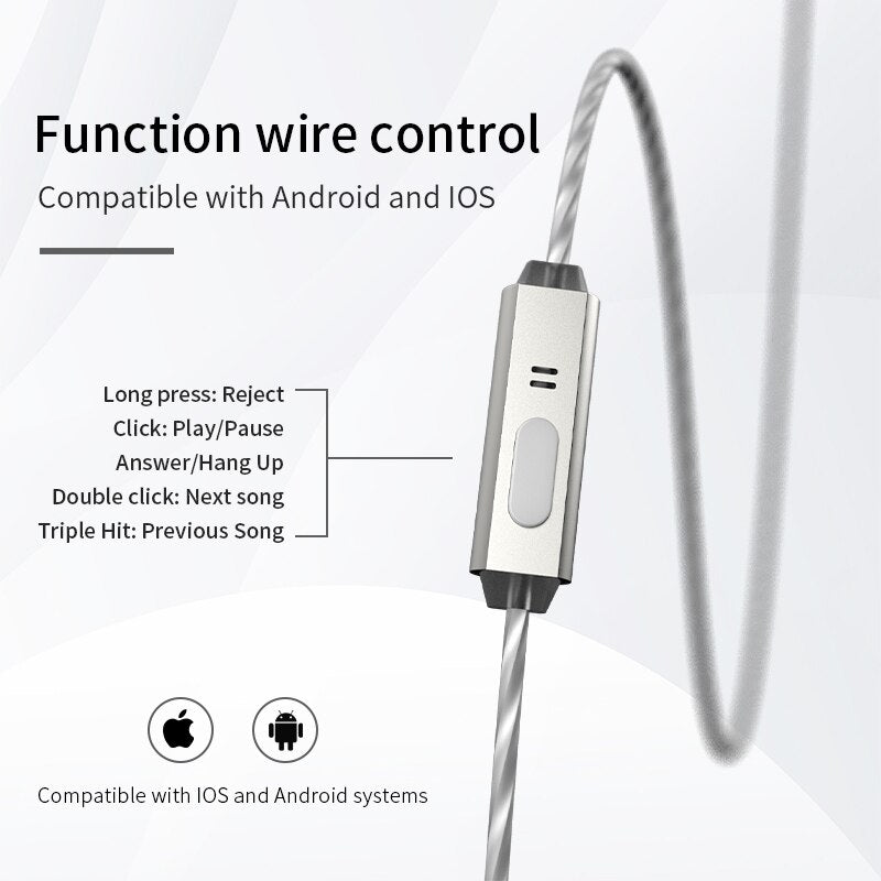 BGVP Scale Earphone Dual Dynamic Driver IEM Headphone with Interchangeable Cable