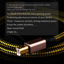 YYTCG 2FT/3FT/5FT HIFI USB Cable DAC A-B Alpha 6N OCC Digital AB Audio A to B high End